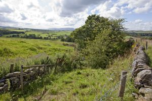 haworth colne moor gate 2 sm.jpg